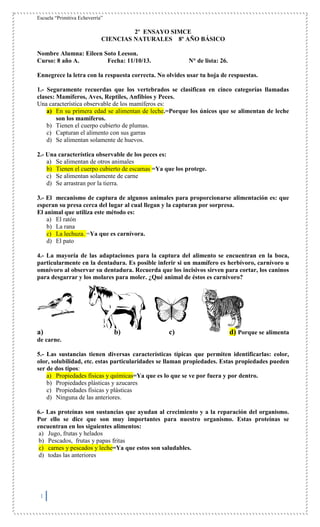 Escuela “Primitiva Echeverría”

2º ENSAYO SIMCE
CIENCIAS NATURALES 8º AÑO BÁSICO
Nombre Alumna: Eileen Soto Leeson.
Curso: 8 año A.
Fecha: 11/10/13.

N° de lista: 26.

Ennegrece la letra con la respuesta correcta. No olvides usar tu hoja de respuestas.
1.- Seguramente recuerdas que los vertebrados se clasifican en cinco categorías llamadas
clases: Mamíferos, Aves, Reptiles, Anfibios y Peces.
Una característica observable de los mamíferos es:
a) En su primera edad se alimentan de leche.=Porque los únicos que se alimentan de leche
son los mamíferos.
b) Tienen el cuerpo cubierto de plumas.
c) Capturan el alimento con sus garras
d) Se alimentan solamente de huevos.
2.- Una característica observable de los peces es:
a) Se alimentan de otros animales
b) Tienen el cuerpo cubierto de escamas =Ya que los protege.
c) Se alimentan solamente de carne
d) Se arrastran por la tierra.
3.- El mecanismo de captura de algunos animales para proporcionarse alimentación es: que
esperan su presa cerca del lugar al cual llegan y la capturan por sorpresa.
El animal que utiliza este método es:
a) El ratón
b) La rana
c) La lechuza. =Ya que es carnívora.
d) El pato
4.- La mayoría de las adaptaciones para la captura del alimento se encuentran en la boca,
particularmente en la dentadura. Es posible inferir si un mamífero es herbívoro, carnívoro u
omnívoro al observar su dentadura. Recuerda que los incisivos sirven para cortar, los caninos
para desgarrar y los molares para moler. ¿Qué animal de éstos es carnívoro?

a)

b)

c)

d) Porque se alimenta

de carne.
5.- Las sustancias tienen diversas características típicas que permiten identificarlas: color,
olor, solubilidad, etc. estas particularidades se llaman propiedades. Estas propiedades pueden
ser de dos tipos:
a) Propiedades físicas y químicas=Ya que es lo que se ve por fuera y por dentro.
b) Propiedades plásticas y azucares
c) Propiedades físicas y plásticas
d) Ninguna de las anteriores.
6.- Las proteínas son sustancias que ayudan al crecimiento y a la reparación del organismo.
Por ello se dice que son muy importantes para nuestro organismo. Estas proteínas se
encuentran en los siguientes alimentos:
a) Jugo, frutas y helados
b) Pescados, frutas y papas fritas
c) carnes y pescados y leche=Ya que estos son saludables.
d) todas las anteriores

1

 