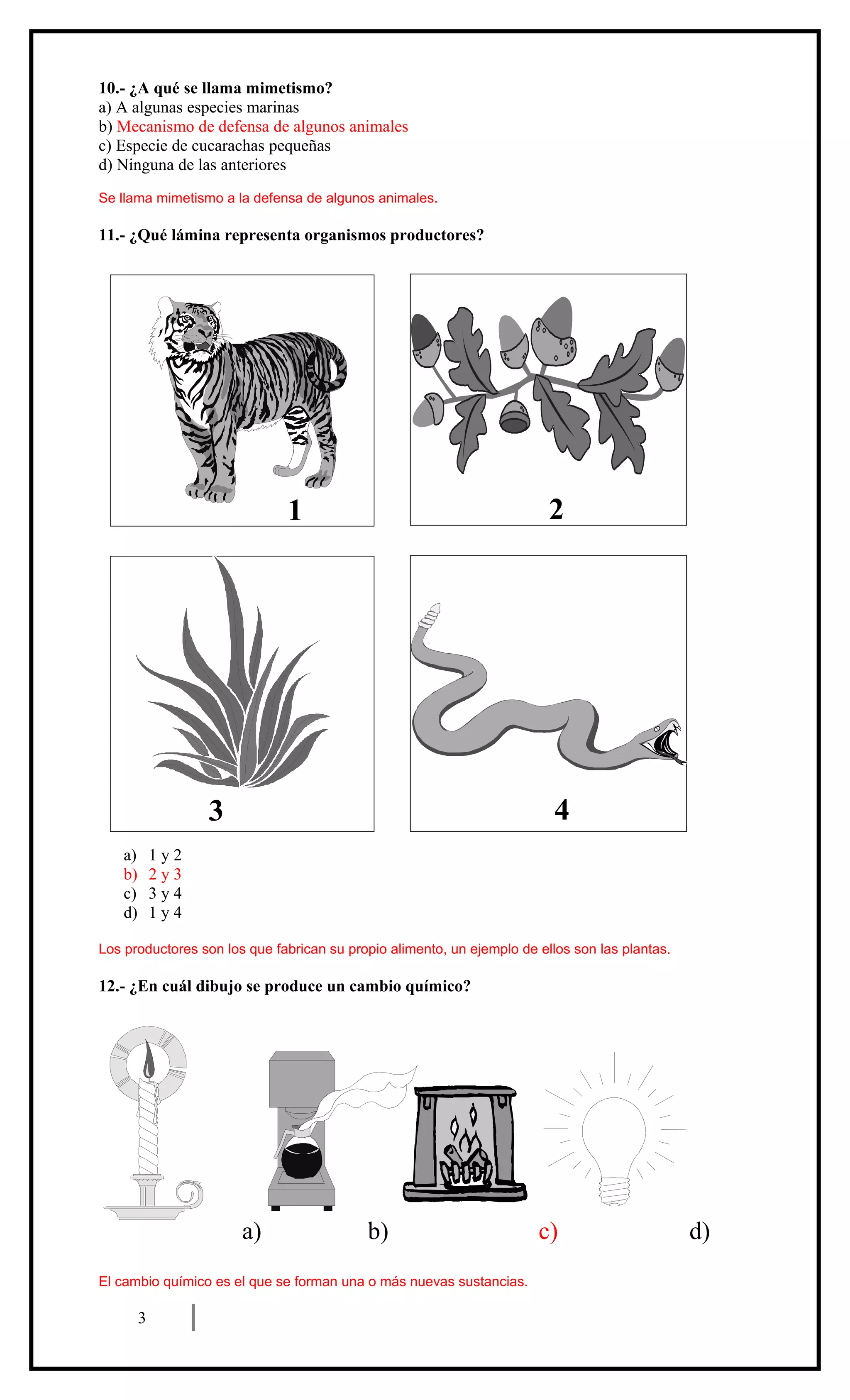 10.- ¿A qué se llama mimetismo?
a) A algunas especies marinas
b) Mecanismo de defensa de algunos animales
c) Especie de cucarachas pequeñas
d) Ninguna de las anteriores
Se llama mimetismo a la defensa de algunos animales.

11.- ¿Qué lámina representa organismos productores?

2

1

4

3
a)
b)
c)
d)

1y2
2y3
3y4
1y4

Los productores son los que fabrican su propio alimento, un ejemplo de ellos son las plantas.

12.- ¿En cuál dibujo se produce un cambio químico?

a)

b)

El cambio químico es el que se forman una o más nuevas sustancias.

3

c)

d)

 