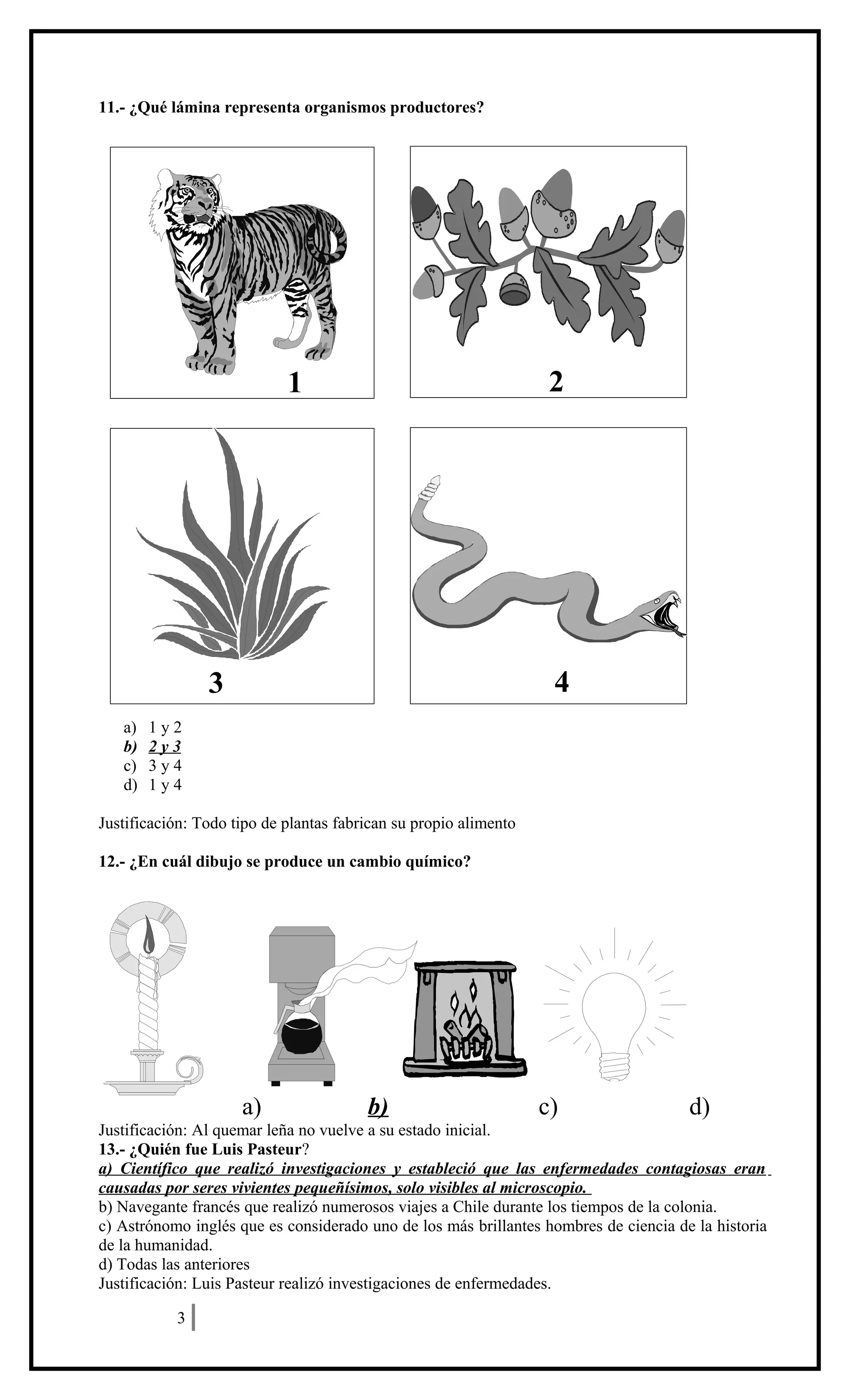 11.- ¿Qué lámina representa organismos productores?

2

1

4

3
a)
b)
c)
d)

1y2
2y3
3y4
1y4

Justificación: Todo tipo de plantas fabrican su propio alimento
12.- ¿En cuál dibujo se produce un cambio químico?

a)

b)

c)

d)

Justificación: Al quemar leña no vuelve a su estado inicial.
13.- ¿Quién fue Luis Pasteur?
a) Científico que realizó investigaciones y estableció que las enfermedades contagiosas eran
causadas por seres vivientes pequeñísimos, solo visibles al microscopio.
b) Navegante francés que realizó numerosos viajes a Chile durante los tiempos de la colonia.
c) Astrónomo inglés que es considerado uno de los más brillantes hombres de ciencia de la historia
de la humanidad.
d) Todas las anteriores
Justificación: Luis Pasteur realizó investigaciones de enfermedades.
3

 