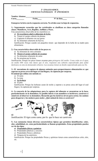 Escuela “Primitiva Echeverría”

2º ENSAYO SIMCE
CIENCIAS NATURALES 8º AÑO BÁSICO
Nombre Alumna:___________________________________________________
Curso________
Fecha____
N° de lista.____
Ennegrece la letra con la respuesta correcta. No olvides usar tu hoja de respuestas.
1.- Seguramente recuerdas que los vertebrados se clasifican en cinco categorías llamadas
clases: Mamíferos, Aves, Reptiles, Anfibios y Peces.
Una característica observable de los mamíferos es:
a) En su primera edad se alimentan de leche.
b) Tienen el cuerpo cubierto de plumas.
c) Capturan el alimento con sus garras
d) Se alimentan solamente de huevos.
Justificación: Porque cuando son pequeños tienen que depender de la leche de su madre para
alimentarse.
2.- Una característica observable de los peces es:
a) Se alimentan de otros animales
b) Tienen el cuerpo cubierto de escamas
c) Se alimentan solamente de carne
d) Se arrastran por la tierra.
Justificación: Porque los peces tienen escamas para protegerse del medio. Como están en el agua,
un medio 600 veces más denso que el aire, requieren una cubierta especializada para poder
deslizarse en esta sin demasiado esfuerzo. Las escamas tienen un diseño especializado para ese fin.
3.- El mecanismo de captura de algunos animales para proporcionarse alimentación es: que
esperan su presa cerca del lugar al cual llegan y la capturan por sorpresa.
El animal que utiliza este método es:
a) El ratón
b) La rana
c) La lechuza
d) El pato
Justificación: Porque las lechuzas cazan de noche y esperan a su presa cerca del lugar al cual
llegan y la capturan por sorpresa.
4.- La mayoría de las adaptaciones para la captura del alimento se encuentran en la boca,
particularmente en la dentadura. Es posible inferir si un mamífero es herbívoro, carnívoro u
omnívoro al observar su dentadura. Recuerda que los incisivos sirven para cortar, los caninos
para desgarrar y los molares para moler. ¿Qué animal de éstos es carnívoro?

a)
b)
c)
d)
Justificación: El tigre come carne, por lo que lo hace ser carnívoro.
5.- Las sustancias tienen diversas características típicas que permiten identificarlas: color,
olor, solubilidad, etc. estas particularidades se llaman propiedades. Estas propiedades pueden
ser de dos tipos:
a) Propiedades físicas y químicas
b) Propiedades plásticas y azucares
c) Propiedades físicas y plásticas
d) Ninguna de las anteriores.
Justificación: Porque las propiedades físicas y químicas tienen como características color, olor,
etc.

1

 