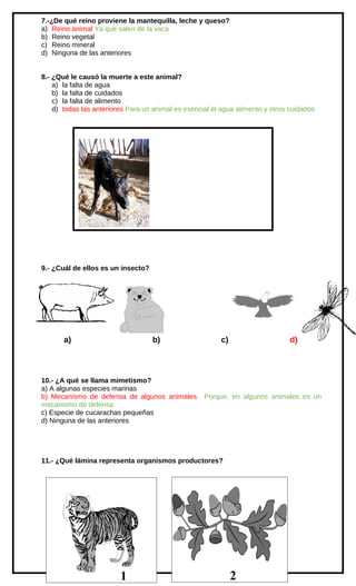 7.-¿De qué reino proviene la mantequilla, leche y queso?
a) Reino animal Ya que salen de la vaca
b) Reino vegetal
c) Reino mineral
d) Ninguna de las anteriores
8.- ¿Qué le causó la muerte a este animal?
a) la falta de agua
b) la falta de cuidados
c) la falta de alimento
d) todas las anteriores Para un animal es esencial el agua alimento y otros cuidados

9.- ¿Cuál de ellos es un insecto?

a)

b)

10.- ¿A qué se llama mimetismo?
a) A algunas especies marinas
b) Mecanismo de defensa de algunos animales
mecanismo de defensa
c) Especie de cucarachas pequeñas
d) Ninguna de las anteriores

c)

d)

Porque, en algunos animales es un

11.- ¿Qué lámina representa organismos productores?

2

1

2

 
