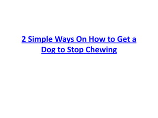 2 Simple Ways On How to Get a Dog to Stop Chewing 