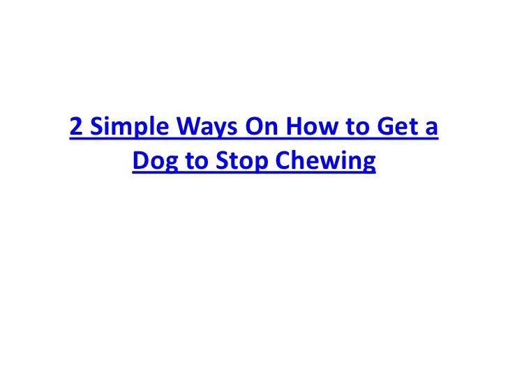 how to get a to stop chewing 2 simple ways on how to get a to stop chewing how to get a to stop chewing 2 simple ways on how to get a to stop chewing