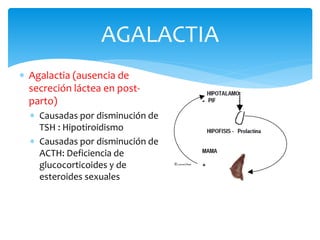 2 sintomas endocrinos