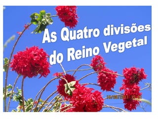 2S    introduçáo_metaphyta_maio2015