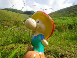 2S    introduçáo_metaphyta_maio2015