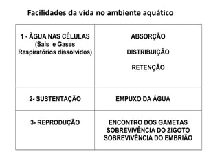 Facilidades da vida no ambiente aquático
1 - ÀGUA NAS CÉLULAS
(Sais e Gases
Respiratórios dissolvidos)
ABSORÇÃO
DISTRIBUIÇÃO
RETENÇÃO
2- SUSTENTAÇÃO EMPUXO DA ÁGUA
3- REPRODUÇÃO ENCONTRO DOS GAMETAS
SOBREVIVÊNCIA DO ZIGOTO
SOBREVIVÊNCIA DO EMBRIÃO
 