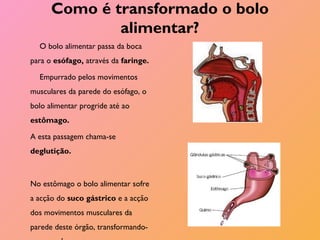 Como é transformado o bolo
alimentar?
O bolo alimentar passa da boca
para o esófago, através da faringe.
Empurrado pelos movimentos
musculares da parede do esófago, o
bolo alimentar progride até ao
estômago.
A esta passagem chama-se
deglutição.
No estômago o bolo alimentar sofre
a acção do suco gástrico e a acção
dos movimentos musculares da
parede deste órgão, transformando-
 