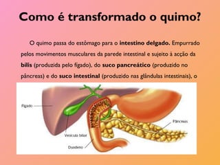 Como é transformado o quimo?
O quimo passa do estômago para o intestino delgado. Empurrado
pelos movimentos musculares da parede intestinal e sujeito à acção da
bílis (produzida pelo fígado), do suco pancreático (produzido no
pâncreas) e do suco intestinal (produzido nas glândulas intestinais), o
quimo transforma-se em quilo.
 