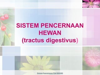 SISTEM PENCERNAAN
        HEWAN
  (tractus digestivus)




      Sistem Pencernaan/CIN/BIOLOGI
 