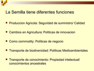 Sistemas Sostenibles de Producción de Semilla, Por Wilson Hugo, FAO