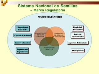Sistemas Sostenibles de Producción de Semilla, Por Wilson Hugo, FAO