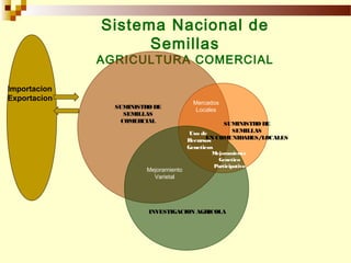 Sistemas Sostenibles de Producción de Semilla, Por Wilson Hugo, FAO