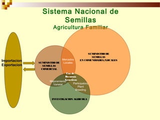 Sistemas Sostenibles de Producción de Semilla, Por Wilson Hugo, FAO