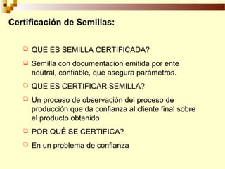 Sistemas Sostenibles de Producción de Semilla, Por Wilson Hugo, FAO
