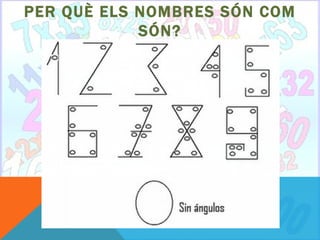 PER QUÈ ELS NOMBRES SÓN COM
            SÓN?
 