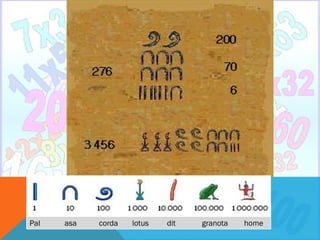 Pal   asa   corda   lotus   dit   granota   home
 