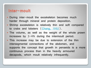 Inter-moult
 During inter-moult the exoskeleton becomes much
harder through mineral and protein deposition.
 Shrimp exoskeleton is relatively thin and soft compared
to crabs and lobsters (Chang, 1992).
 The volume, as well as the weight of the whole prawn
increases by 3-4% during the intermoult period.
 This increase may be due to extension of the thin
intersegmental connections of the abdomen, and
supports the concept that growth in penaeids is a more
continuous process than in the heavily armoured
decapods, which moult relatively infrequently.
 