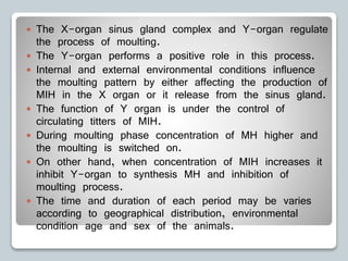  The X-organ sinus gland complex and Y-organ regulate
the process of moulting.
 The Y-organ performs a positive role in this process.
 Internal and external environmental conditions influence
the moulting pattern by either affecting the production of
MIH in the X organ or it release from the sinus gland.
 The function of Y organ is under the control of
circulating titters of MIH.
 During moulting phase concentration of MH higher and
the moulting is switched on.
 On other hand, when concentration of MIH increases it
inhibit Y-organ to synthesis MH and inhibition of
moulting process.
 The time and duration of each period may be varies
according to geographical distribution, environmental
condition age and sex of the animals.
 