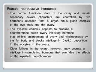 Female reproductive hormone:
 The normal functional state of the ovary and female
secondary sexual characters are controlled by two
hormones released from X organ sinus gland complex
of the eye stalk and the ovary.
 The eyestalk complex appears to produce a
neurohormone called ovary inhibiting hormone
that inhibits enlargement of ovary and vitellogenesis by
the fat body and blocks vitellogenin (yolk) deposition
in the oocytes in the ovary.
 Older follicles in the ovary, however, may secrete a
vitellogenin-stimulating hormone that overrides the effects
of the eyestalk neurohormone.
 