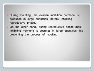  During moulting, the ovarian inhibition hormone is
produced in large quantities thereby inhibiting
reproductive phase.
 On the other hand, during reproductive phase moult
inhibiting hormone is secretes in large quantities this
preventing the process of moulting.
 