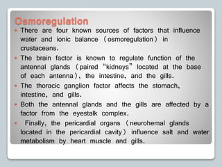 Osmoregulation
 There are four known sources of factors that influence
water and ionic balance (osmoregulation) in
crustaceans.
 The brain factor is known to regulate function of the
antennal glands (paired “kidneys” located at the base
of each antenna), the intestine, and the gills.
 The thoracic ganglion factor affects the stomach,
intestine, and gills.
 Both the antennal glands and the gills are affected by a
factor from the eyestalk complex.
 Finally, the pericardial organs (neurohemal glands
located in the pericardial cavity) influence salt and water
metabolism by heart muscle and gills.
 