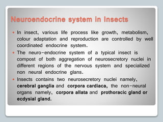 Neuroendocrine system in Insects
 In insect, various life process like growth, metabolism,
colour adaptation and reproduction are controlled by well
coordinated endocrine system.
 The neuro-endocrine system of a typical insect is
compost of both aggregation of neurosecretory nuclei in
different regions of the nervous system and specialized
non neural endocrine glans.
 Insects contains two neurosecretory nuclei namely,
cerebral ganglia and corpora cardiaca, the non-neural
organs namely, corpora allata and prothoracic gland or
ecdysial gland.
 
