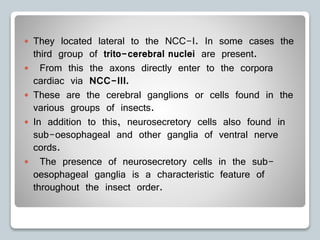  They located lateral to the NCC-I. In some cases the
third group of trito-cerebral nuclei are present.
 From this the axons directly enter to the corpora
cardiac via NCC-III.
 These are the cerebral ganglions or cells found in the
various groups of insects.
 In addition to this, neurosecretory cells also found in
sub-oesophageal and other ganglia of ventral nerve
cords.
 The presence of neurosecretory cells in the sub-
oesophageal ganglia is a characteristic feature of
throughout the insect order.
 