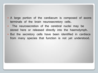  A large portion of the cardiacum is composed of axons
terminals of the brain neurosecretory cells.
 The neurosecretion of the cerebral nuclei may be
stored here or released directly into the haemolymph.
 But the secretory cells have been identified in cardiaca
from many species that function is not yet understood.
 