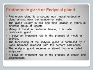 Prothoracic gland or Ecdysial gland
 Prothoracic gland is a second non neural endocrine
gland arising from the ectodermal cells.
 The gland usually in pair and their location is varies in
different group of insects.
 Mainly it found in prothorax hence, it is called
prothoracic gland.
 It plays an important role in the process of moult or
ecdysis.
 The functioning of the scdysial gland is controlled by a
tropic hormone released from the corpora cardiacum.
 The ecdysial gland secretes a steroid hormone called
ecdysone.
 It plays an important role in the process of growth and
development.
 