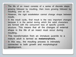 The life of an insect consists of a series of discrete steps:
 growing followed by moulting, then more growing followed by
moulting, and so on.
 However, the rigid exoskeleton cannot change shape between
moults.
 In the moult cycle, final moult is the very important changes
because it is the period during which the adult characters
are formed with the concurrent loss of specific juvenile
structure. This means that all the changes of external
shape in the life of an insect must occur during
moulting.
 This transformation from an immature juvenile to a
mature adult is termed as metamorphosis.
 In this way, the moulting process is intimately
connected to both growth and morphological
development.
 