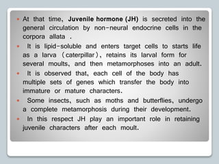  At that time, Juvenile hormone (JH) is secreted into the
general circulation by non-neural endocrine cells in the
corpora allata .
 It is lipid-soluble and enters target cells to starts life
as a larva (caterpillar), retains its larval form for
several moults, and then metamorphoses into an adult.
 It is observed that, each cell of the body has
multiple sets of genes which transfer the body into
immature or mature characters.
 Some insects, such as moths and butterflies, undergo
a complete metamorphosis during their development.
 In this respect JH play an important role in retaining
juvenile characters after each moult.
 