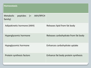 Homeostasis
Metabolic peptides (= AKH/RPCH
family)
Adipokinetic hormone (AKH) Releases lipid from fat body
Hyperglycemic hormone Releases carbohydrate from fat body
Hypoglycemic hormone Enhances carbohydrate uptake
Protein synthesis factors Enhance fat body protein synthesis
 