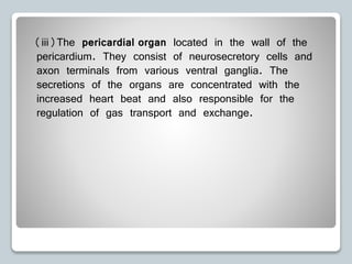 (iii)The pericardial organ located in the wall of the
pericardium. They consist of neurosecretory cells and
axon terminals from various ventral ganglia. The
secretions of the organs are concentrated with the
increased heart beat and also responsible for the
regulation of gas transport and exchange.
 