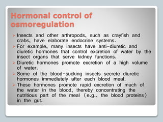 Hormonal control of
osmoregulation
 Insects and other arthropods, such as crayfish and
crabs, have elaborate endocrine systems.
 For example, many insects have anti-diuretic and
diuretic hormones that control excretion of water by the
insect organs that serve kidney functions.
 Diuretic hormones promote excretion of a high volume
of water.
 Some of the blood-sucking insects secrete diuretic
hormones immediately after each blood meal.
 These hormones promote rapid excretion of much of
the water in the blood, thereby concentrating the
nutritious part of the meal (e.g., the blood proteins)
in the gut.
 