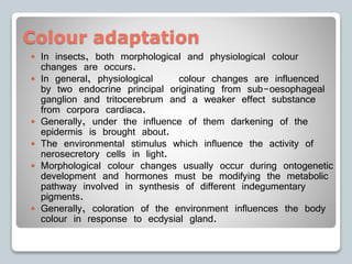 Colour adaptation
 In insects, both morphological and physiological colour
changes are occurs.
 In general, physiological colour changes are influenced
by two endocrine principal originating from sub-oesophageal
ganglion and tritocerebrum and a weaker effect substance
from corpora cardiaca.
 Generally, under the influence of them darkening of the
epidermis is brought about.
 The environmental stimulus which influence the activity of
nerosecretory cells in light.
 Morphological colour changes usually occur during ontogenetic
development and hormones must be modifying the metabolic
pathway involved in synthesis of different indegumentary
pigments.
 Generally, coloration of the environment influences the body
colour in response to ecdysial gland.
 