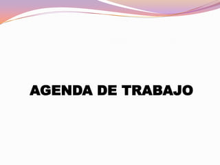 AGENDA DE TRABAJO

 