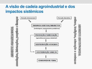 A visão de cadeia agroindustrial e dos
impactos sistêmicos
 