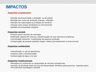 IMPACTOS
• Impactos econômicos:
- Redução da produtividade e produção ou de plantel
- Elevação dos custos de produção (manejo, inspeção)
- Redução nas exportações ou proibição de comércio
- Choques sobre preços domésticos ou internacionais
- Redução da arrecadação tributária
- Impactos sociais
- Choques sobre mercado de empregos
- Realocação regional de culturas e desarticulação de suas estruturas produtivas
- Concentração industrial: inviabilização da pequena produção
- Contaminação de pessoas podendo chegar a óbitos (principalmente na área animal)
- Impactos ambientais
- Intensificação no uso de agrotóxicos
- Impactos sobre a biodiversidade
- Contaminação de água e de solo
- Impactos institucionais
• Alterações em orçamento ou necessidade de recursos emergenciais
• Aumento da demanda sobre serviços de fitossanidade ofertados pelos governos: impactos sobre
infra-estrutura tecnológica e pessoal
 