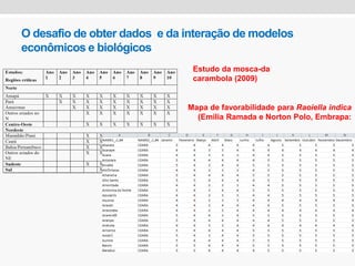 O desafio de obter dados e da interação de modelos
econômicos e biológicos
Mapa de favorabilidade para Raoiella indica
(Emilia Ramada e Norton Polo, Embrapa:
Estudo da mosca-da
carambola (2009)
 