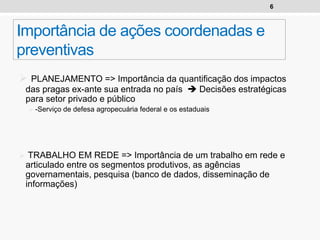 6
Importância de ações coordenadas e
preventivas
 PLANEJAMENTO => Importância da quantificação dos impactos
das pragas ex-ante sua entrada no país  Decisões estratégicas
para setor privado e público
 -Serviço de defesa agropecuária federal e os estaduais
 TRABALHO EM REDE => Importância de um trabalho em rede e
articulado entre os segmentos produtivos, as agências
governamentais, pesquisa (banco de dados, disseminação de
informações)
 