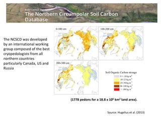 Source: Hugelius et al. (2013)
(1778 pedons for a 18.8 x 106 km2 land area).
The NCSCD was developed
by an international working
group composed of the best
cryopedologists from all
northern countries
particularly Canada, US and
Russia
 