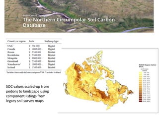 SOC values scaled-up from
pedons to landscape using
component listings from
legacy soil survey maps
 