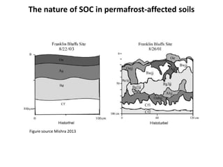 Figure source Mishra 2013
The nature of SOC in permafrost-affected soils
 