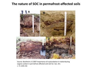 Source: Bockheim J G 2007 Importance of cryoturbation in redistributing
organic carbon in permafrost-affected soils Soil Sci. Soc. Am.
J. 71 1335–42:
The nature of SOC in permafrost-affected soils
 