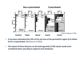 Source: Ping et al. 2010
Non-cryoturbated Cryoturbated
• It has been estimated that 19% of the soil area of the permafrost region (3.6 million
km2) is cryoturbated. (Mishray et al 2013)
• The impact of these features on the heterogeneity of SOC stocks needs to be
considered when upscaling to regional scale databases.
 