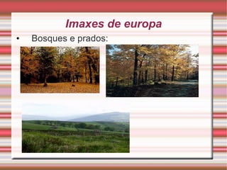 Imaxes de europa Bosques e prados: 