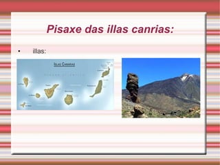 Pisaxe das illas canrias: illas: 