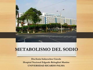 METABOLISMO DEL SODIO
Dra.Sonia Indacochea Cáceda
Hospital Nacional Edgardo Rebagliati Martins
UNIVERSIDAD RICARDO PALMA
 