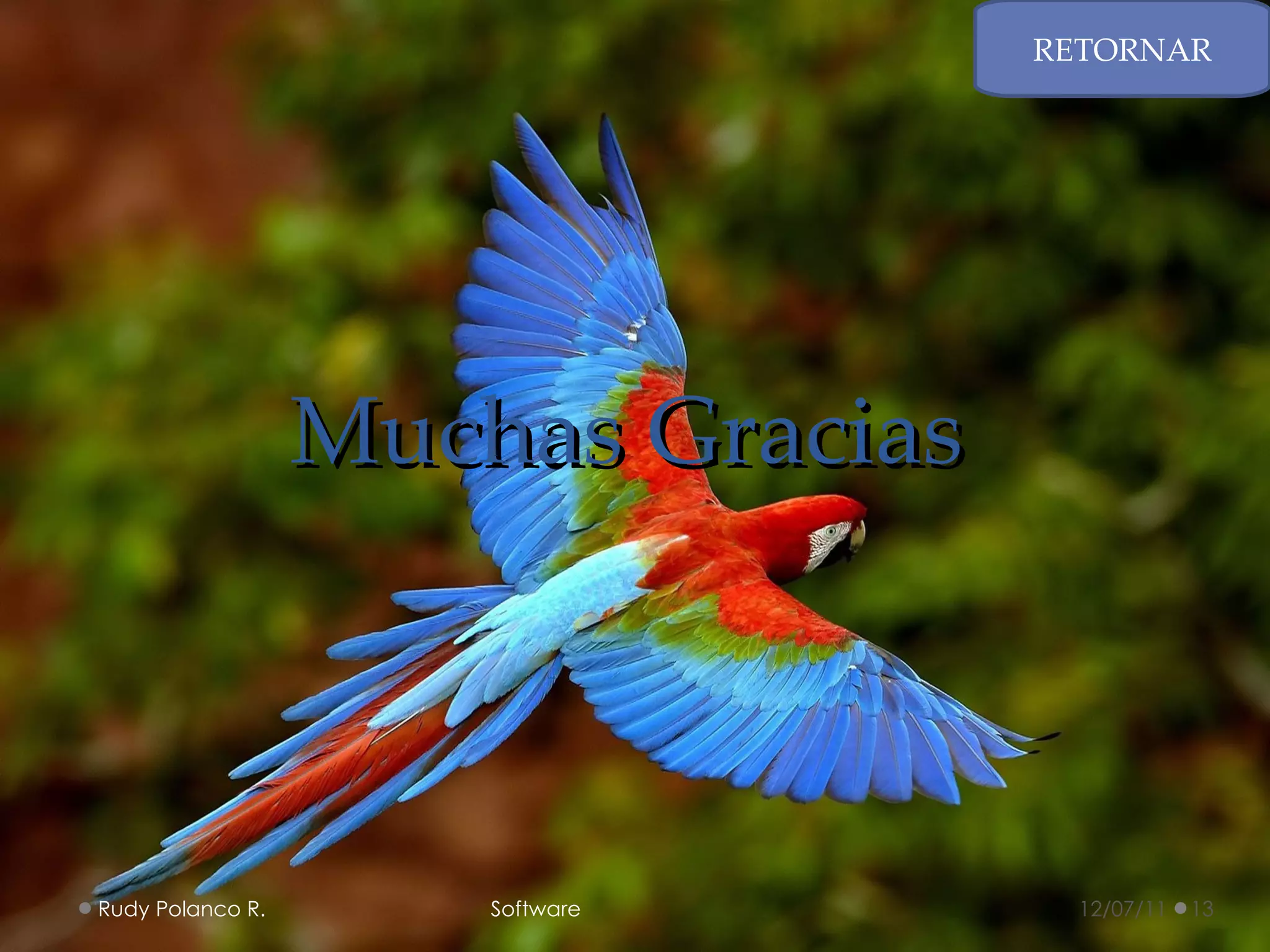 Muchas Gracias RETORNAR 12/07/11 Rudy Polanco R.  Software 